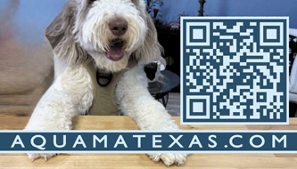 Pet Cremation Carlson Pet Memorial